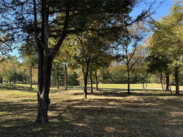a view of park with trees