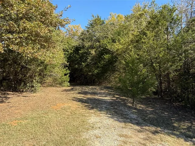 a view of a yard with a tree
