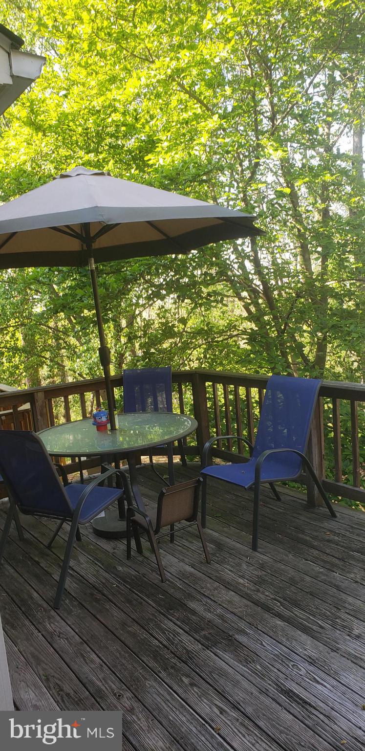 3650 Ransom Place Alexandria, VA 22306 - Photo 3 of 3 Beautiful view off deck!
