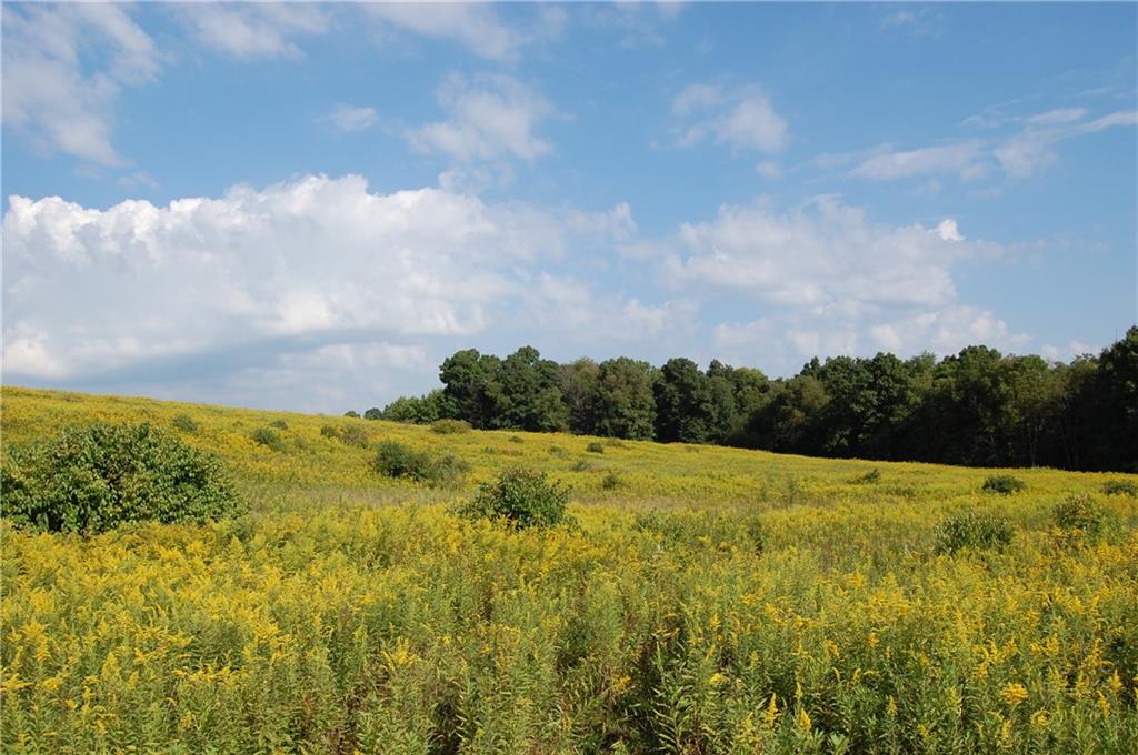 327 Say Road Emlenton, PA 16373 - Photo 1 of 21 Say Road Land - 13.8 Acres