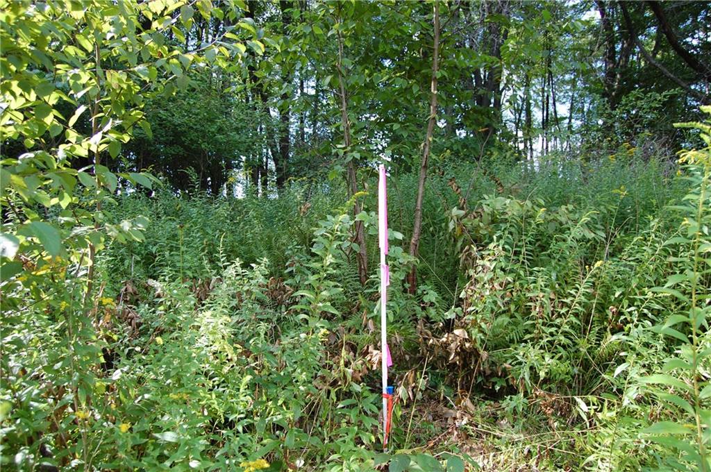 327 Say Road Emlenton, PA 16373 - Photo 17 of 21 Survey Markers Along Tree Line