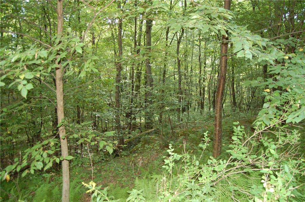 327 Say Road Emlenton, PA 16373 - Photo 18 of 21 Gallery Image 18