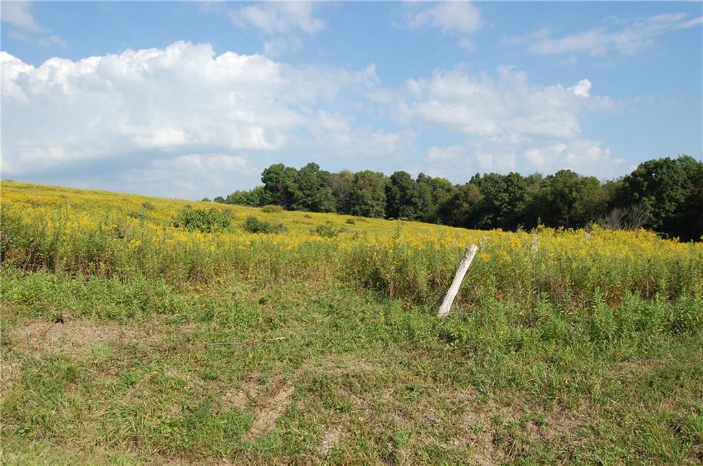 327 Say Road Emlenton, PA 16373 - Photo 5 of 21 Say Rd. Frontage 364 ft - Land / Lot