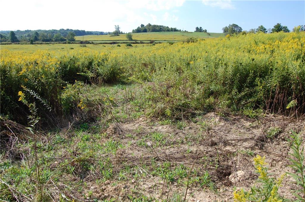 327 Say Road Emlenton, PA 16373 - Photo 6 of 21 View - Looking from center of the land/lot back to Say Rd.