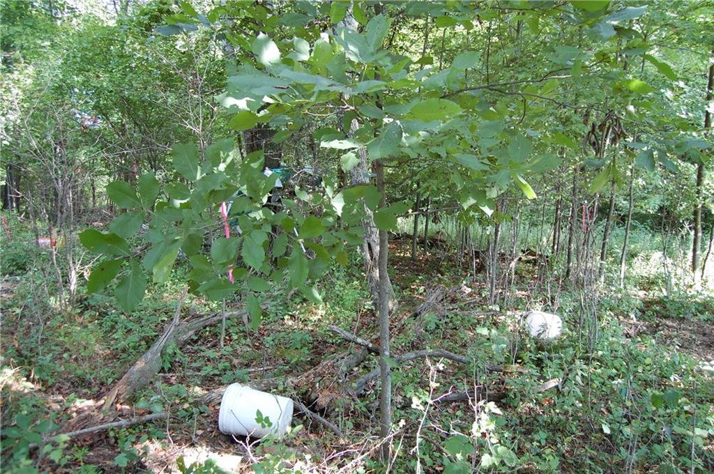 327 Say Road Emlenton, PA 16373 - Photo 8 of 21 Small Sand Mound - Perc Test Location