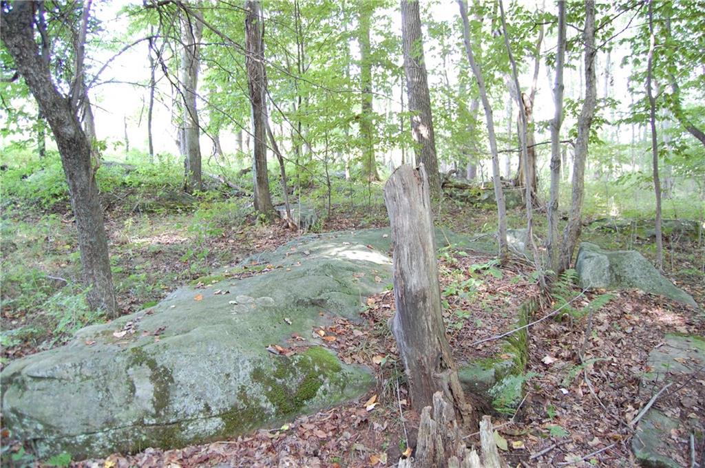 327 Say Road Emlenton, PA 16373 - Photo 9 of 21 Gallery Image 9