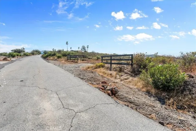 a view of a dry yard with lots of trees