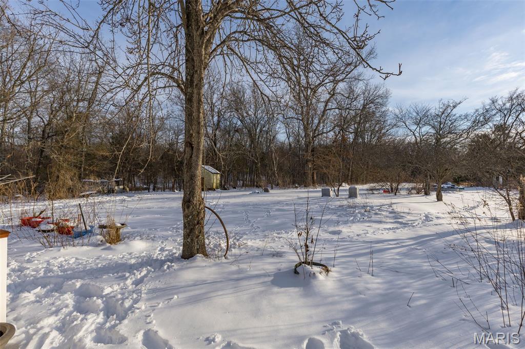 5050 Madison Road Farmington, MO 63640 - Photo 3 of 23