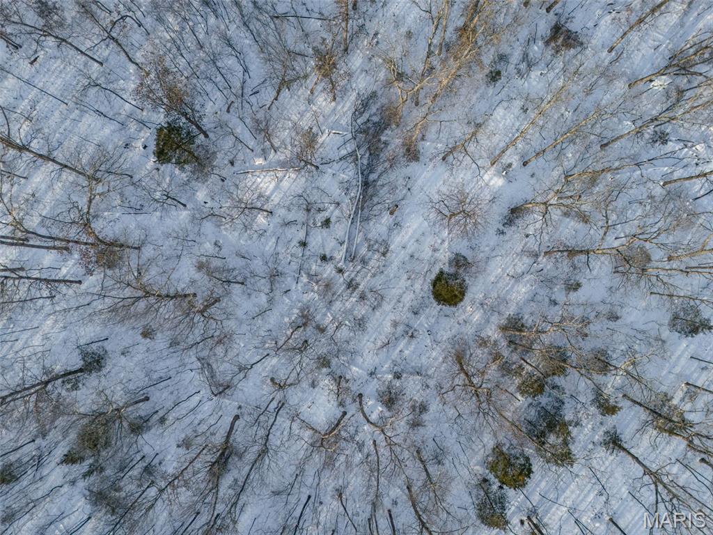 5050 Madison Road Farmington, MO 63640 - Photo 67 of 73