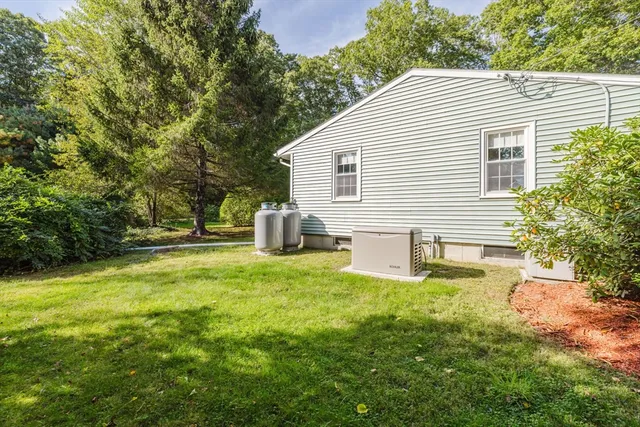 a view of a backyard with a garden and plants