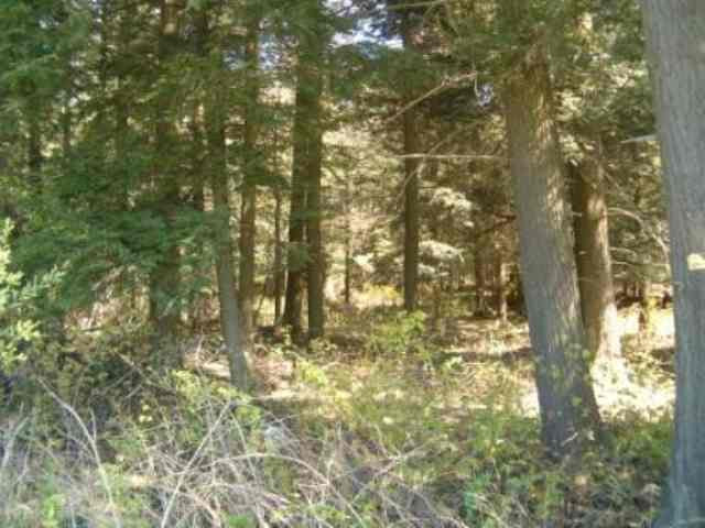 0 Champlin Road Harpersfield, NY 13786 - Photo 1 of 3 Photo 1