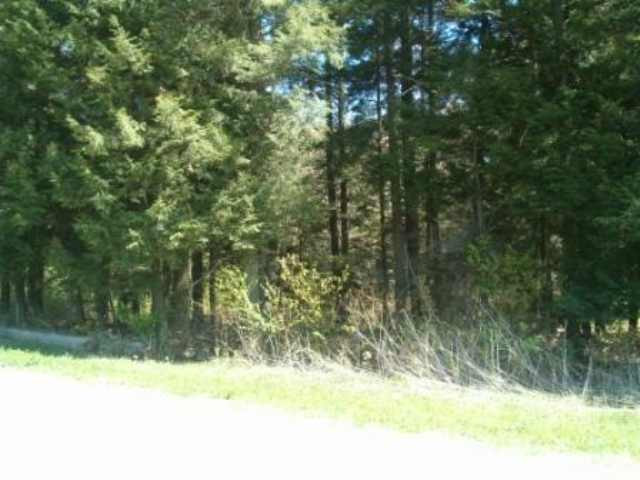 0 Champlin Road Harpersfield, NY 13786 - Photo 2 of 3 Photo 2