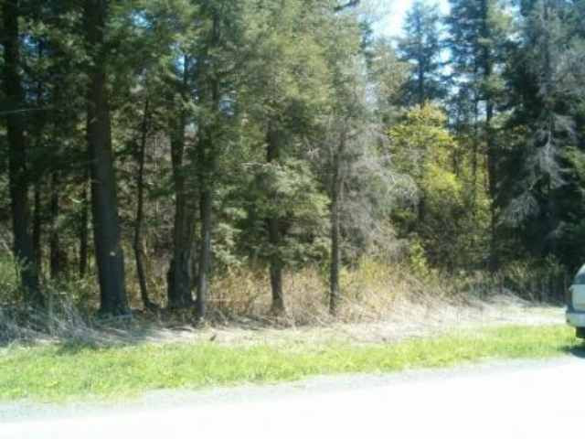 0 Champlin Road Harpersfield, NY 13786 - Photo 3 of 3 Photo 3