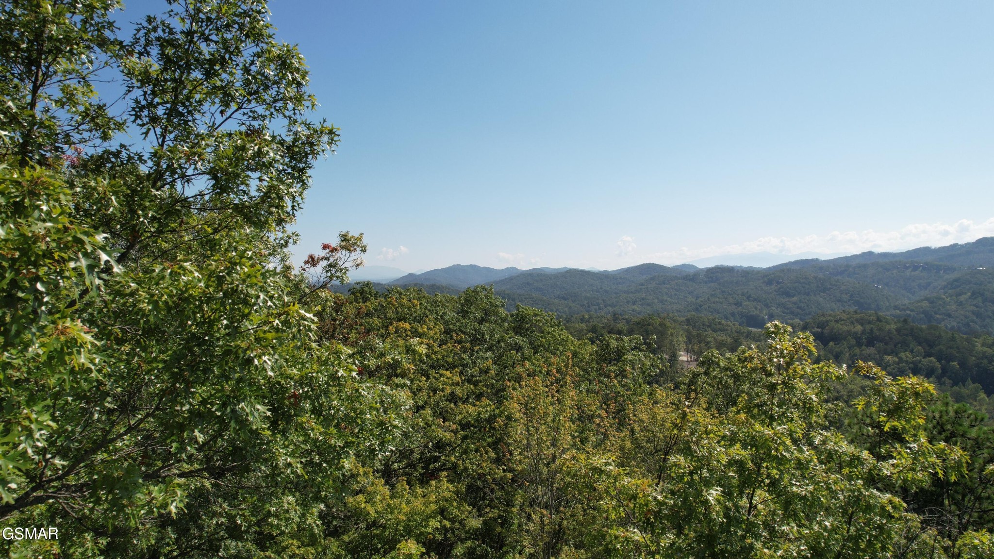 1 Sulpher Springs Way Sevierville, TN 37862 - Photo 3 of 12