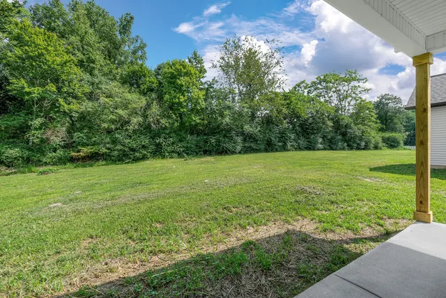 a view of a field with an trees