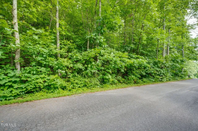 $59,900 | Lot 40 Ridgeheights Drive, Unit 40, Johnson City, TN 37615