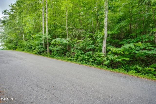 $59,900 | Lot 40 Ridgeheights Drive, Unit 40, Johnson City, TN 37615