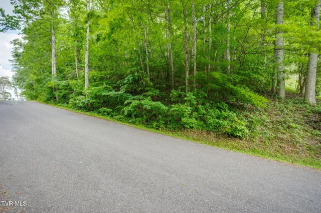 $59,900 | Lot 40 Ridgeheights Drive, Unit 40, Johnson City, TN 37615