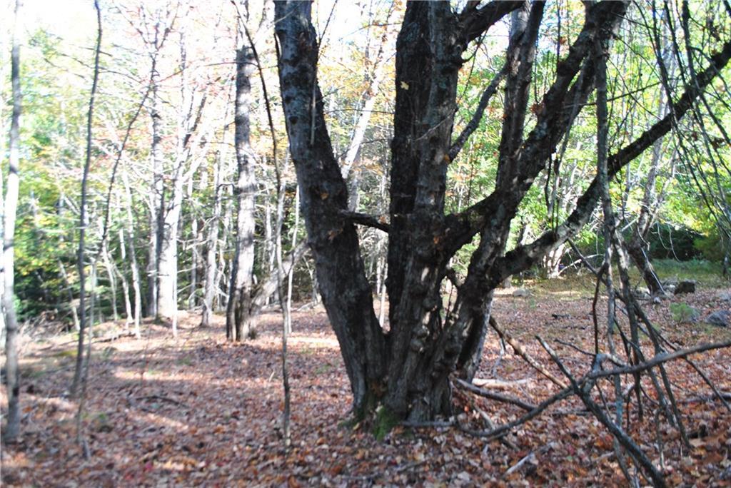 0 Robinhood Road Georgetown, ME 04548 - Photo 4 of 13 Photo