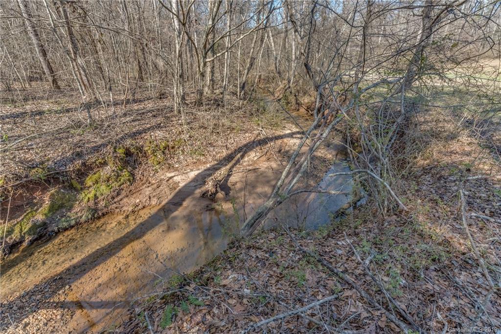 1014 South Main Street Rutherfordton, NC 28139 - Photo 24 of 31 a view of forest