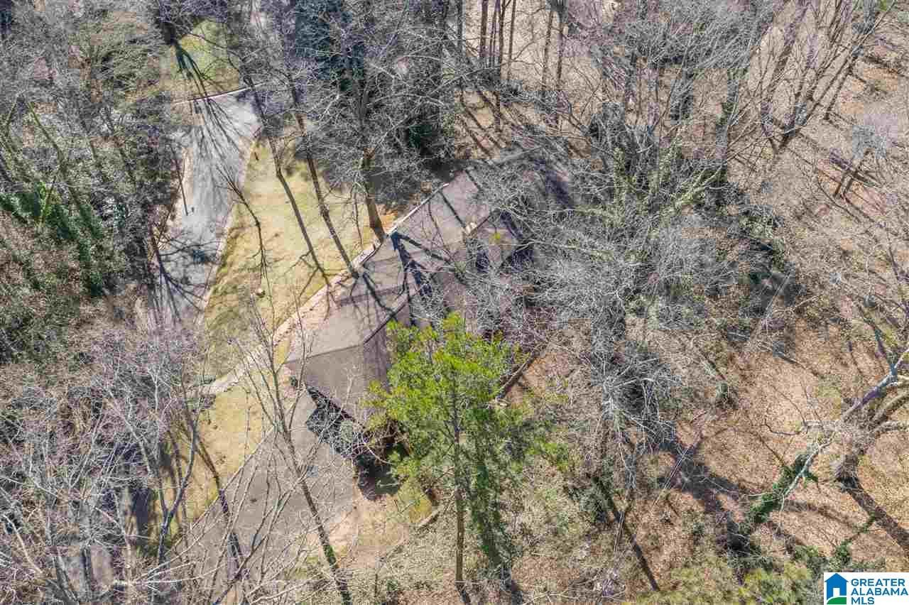 203 Primrose Path Sylacauga, AL 35150 - Photo 10 of 43