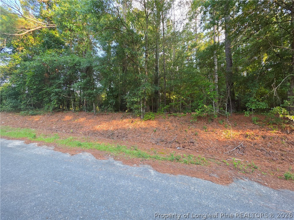 0 Eastman Road Southern Pines, NC 28387 - Photo 4 of 10