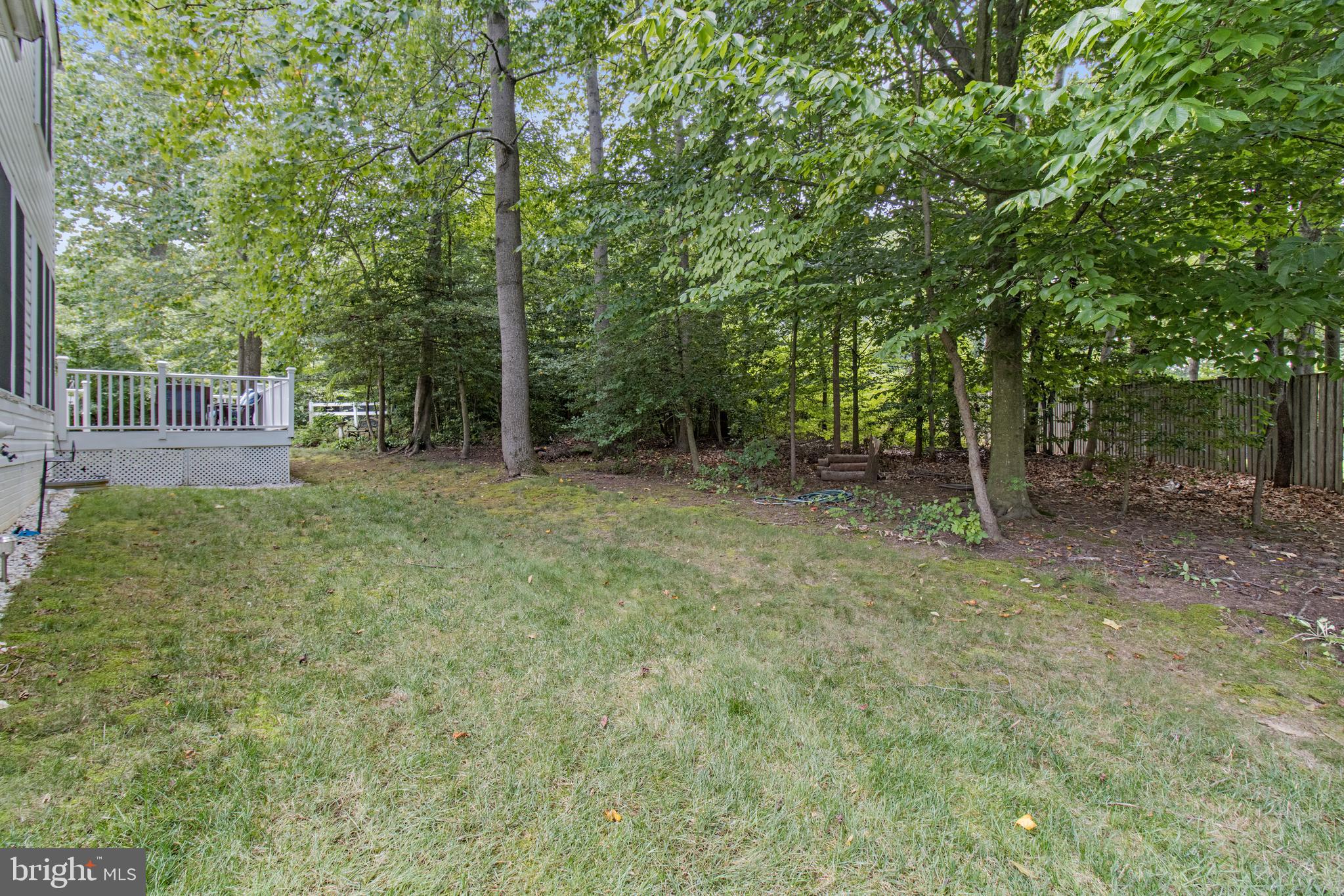 706 Darlow Drive Annapolis, MD 21409 - Photo 27 of 34 Private wooded lot