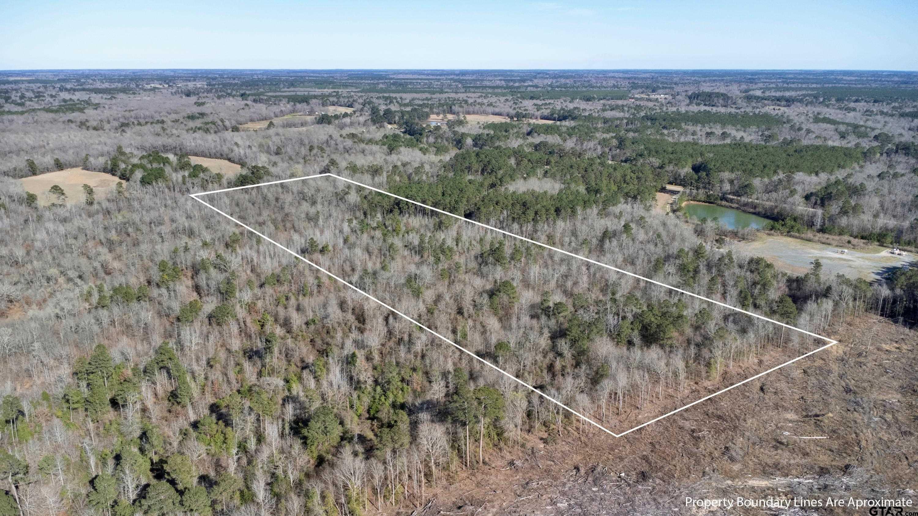 18.75 Acres County Road De Berry, TX 75639 - Photo 5 of 6 a view of a city