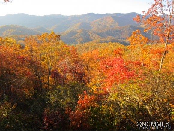 302 East Spark Chaser Road Sylva, NC 28779 - Photo 2 of 24