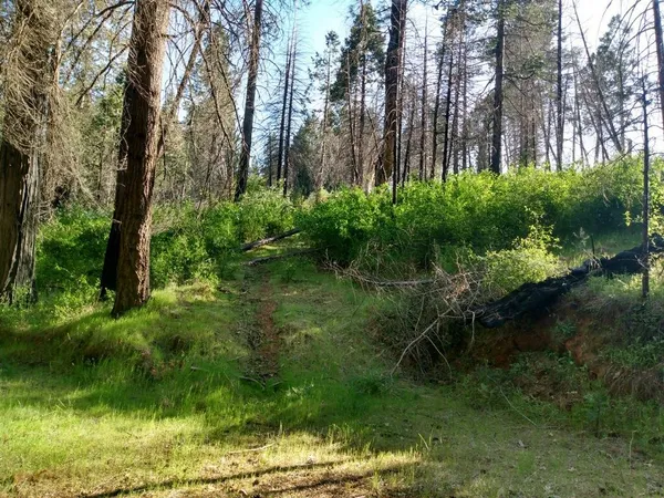 a view of backyard with green space