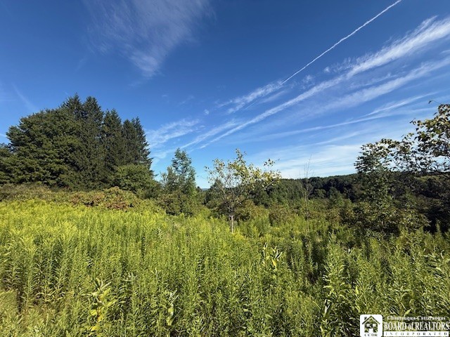 Baker Street Jamestown, NY 14701 - Photo 2 of 6