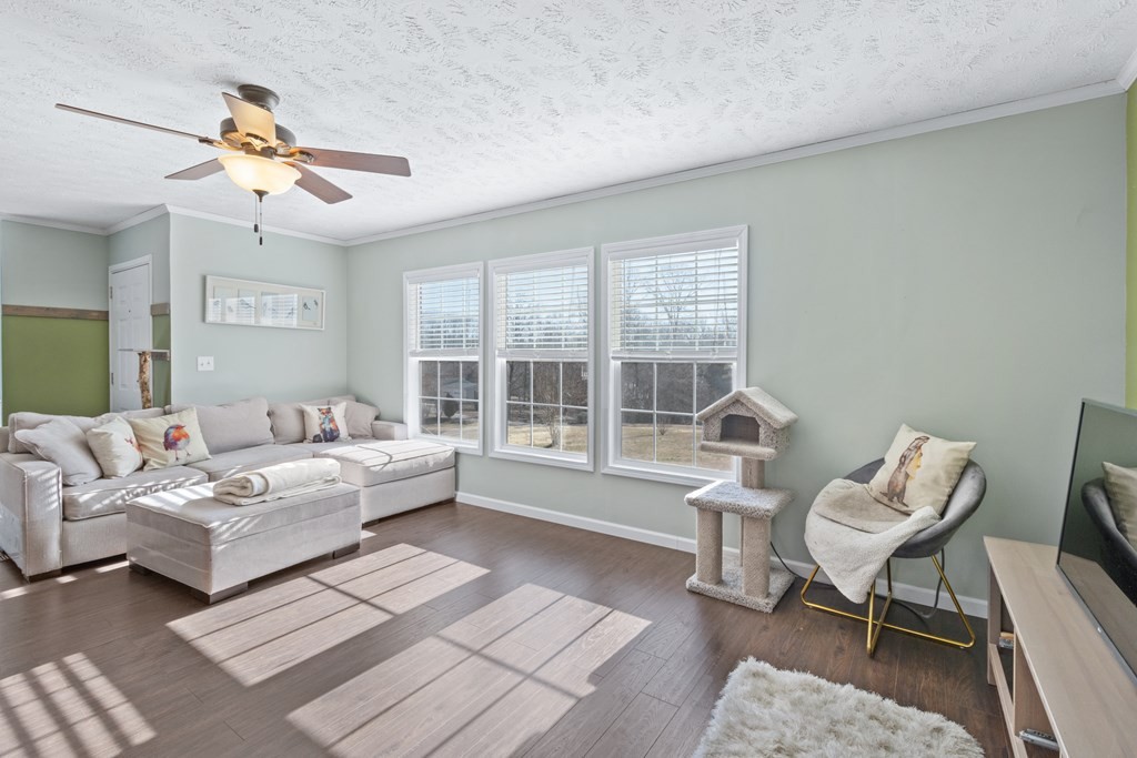 735 Groover Road Spring City, TN 37381 - Photo 8 of 38 Gallery Image 8