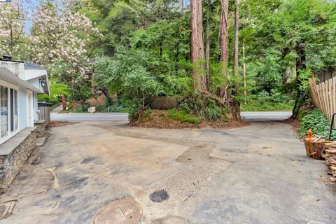 a view of a garden with potted plants