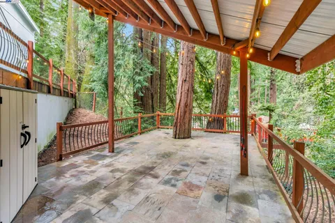 a house view with a backyard space