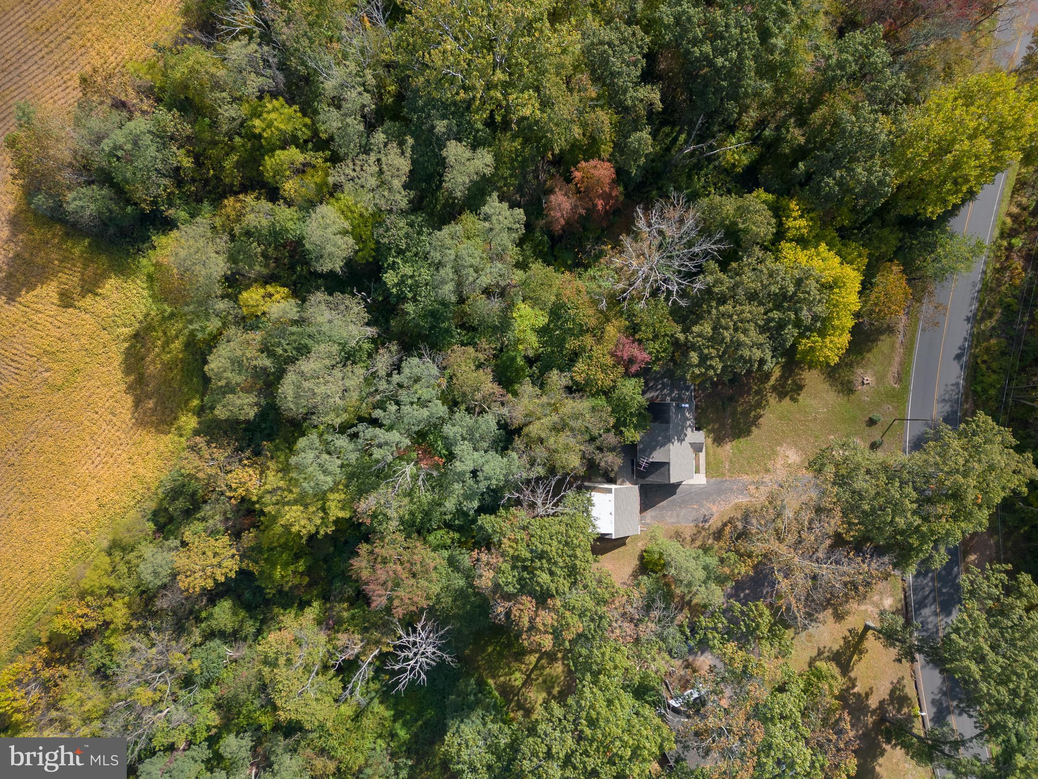 333 Ellisdale Road Chesterfield, NJ 08515 - Photo 47 of 56