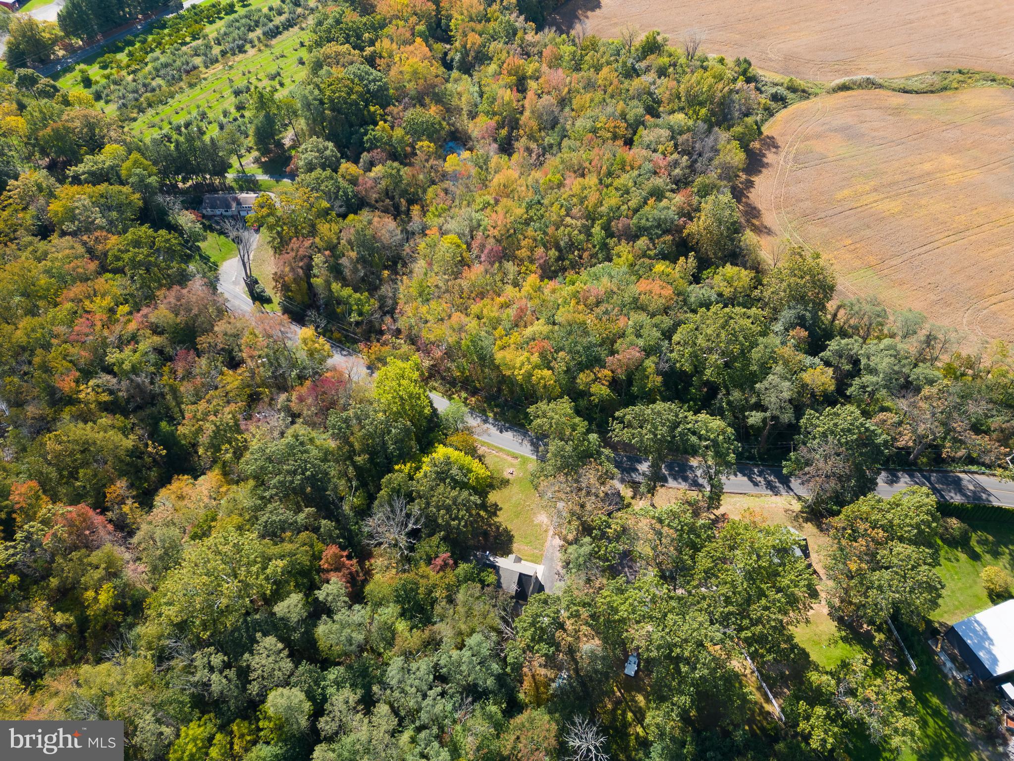 333 Ellisdale Road Chesterfield, NJ 08515 - Photo 48 of 56