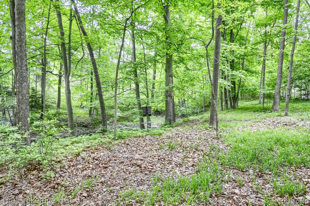 605 Morrish Road Flushing, MI 48433 - Photo 29 of 41