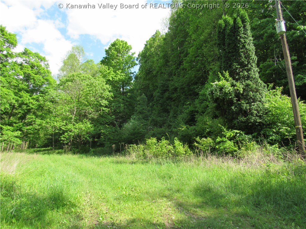 0 2nd Creek Road Kenna, WV 25248 - Photo 16 of 47 Gallery Image 16