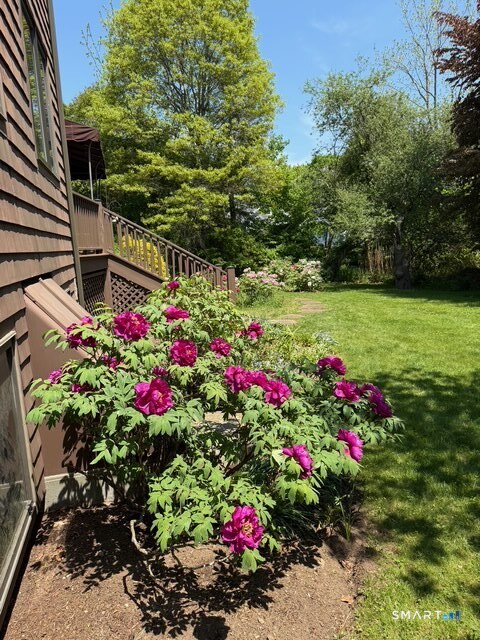 8 Ivy Road Stonington, CT 06355 - Photo 28 of 30 a view of a flower in a garden