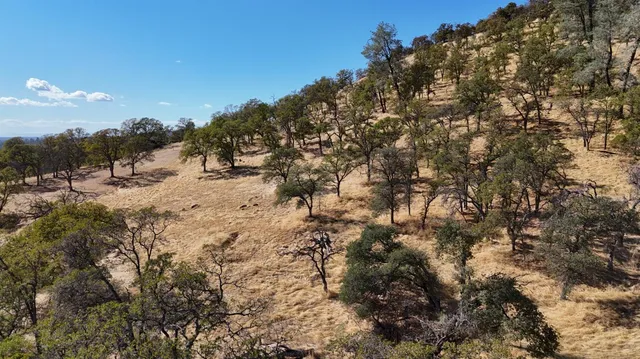 $199,980 | 9816 Deer Hollow Trail, Browns Valley, CA 95918