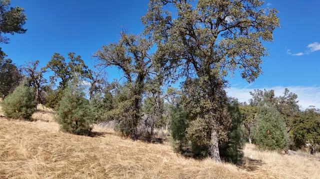 $199,980 | 9816 Deer Hollow Trail, Browns Valley, CA 95918