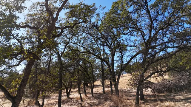 $199,980 | 9816 Deer Hollow Trail, Browns Valley, CA 95918