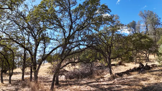 $199,980 | 9816 Deer Hollow Trail, Browns Valley, CA 95918