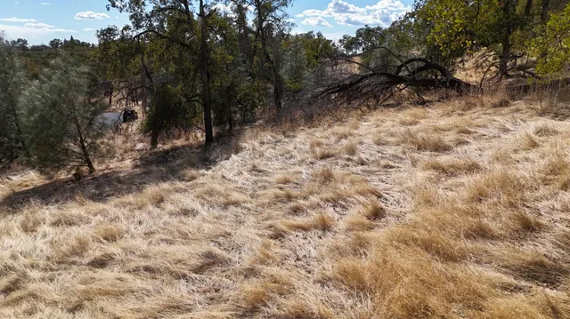 $199,980 | 9816 Deer Hollow Trail, Browns Valley, CA 95918