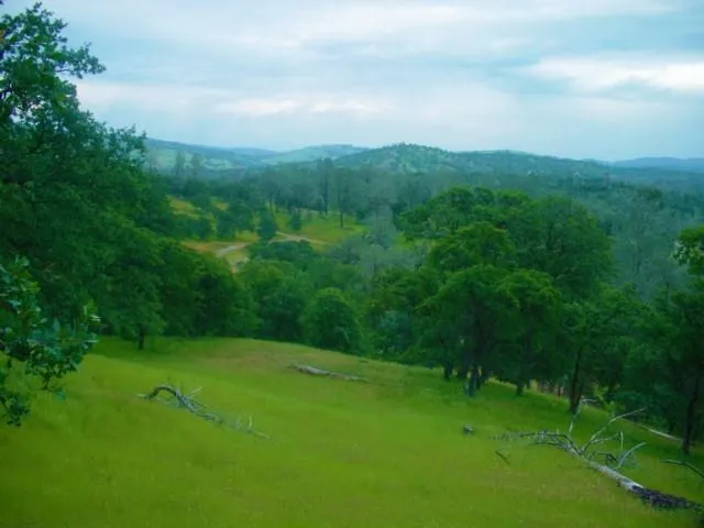 $199,980 | 9816 Deer Hollow Trail, Browns Valley, CA 95918