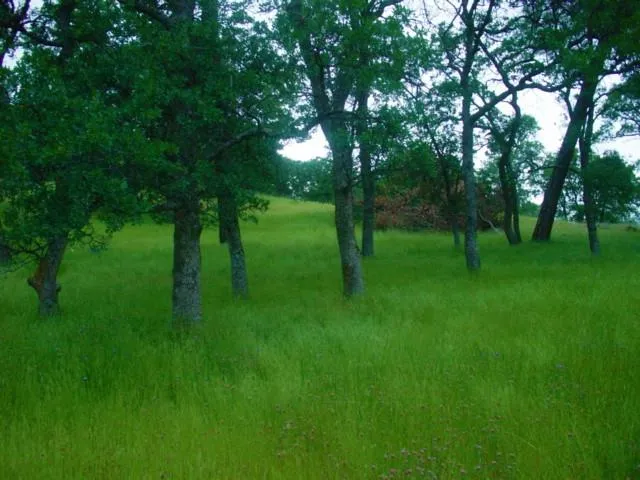 $199,980 | 9816 Deer Hollow Trail, Browns Valley, CA 95918