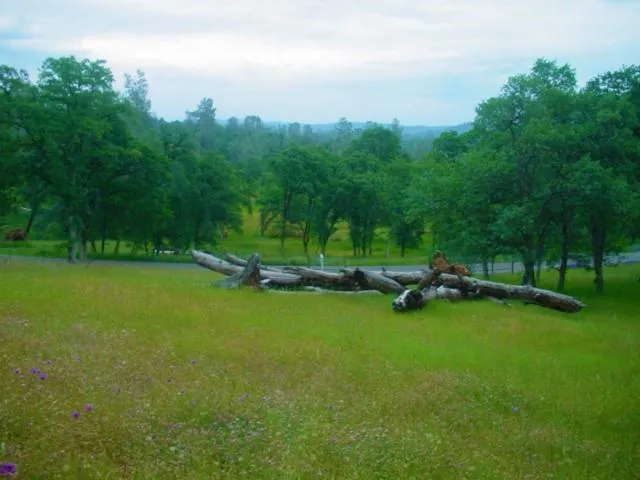 $199,980 | 9816 Deer Hollow Trail, Browns Valley, CA 95918