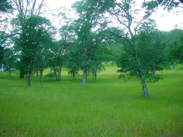 $199,980 | 9816 Deer Hollow Trail, Browns Valley, CA 95918