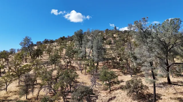 $199,980 | 9816 Deer Hollow Trail, Browns Valley, CA 95918