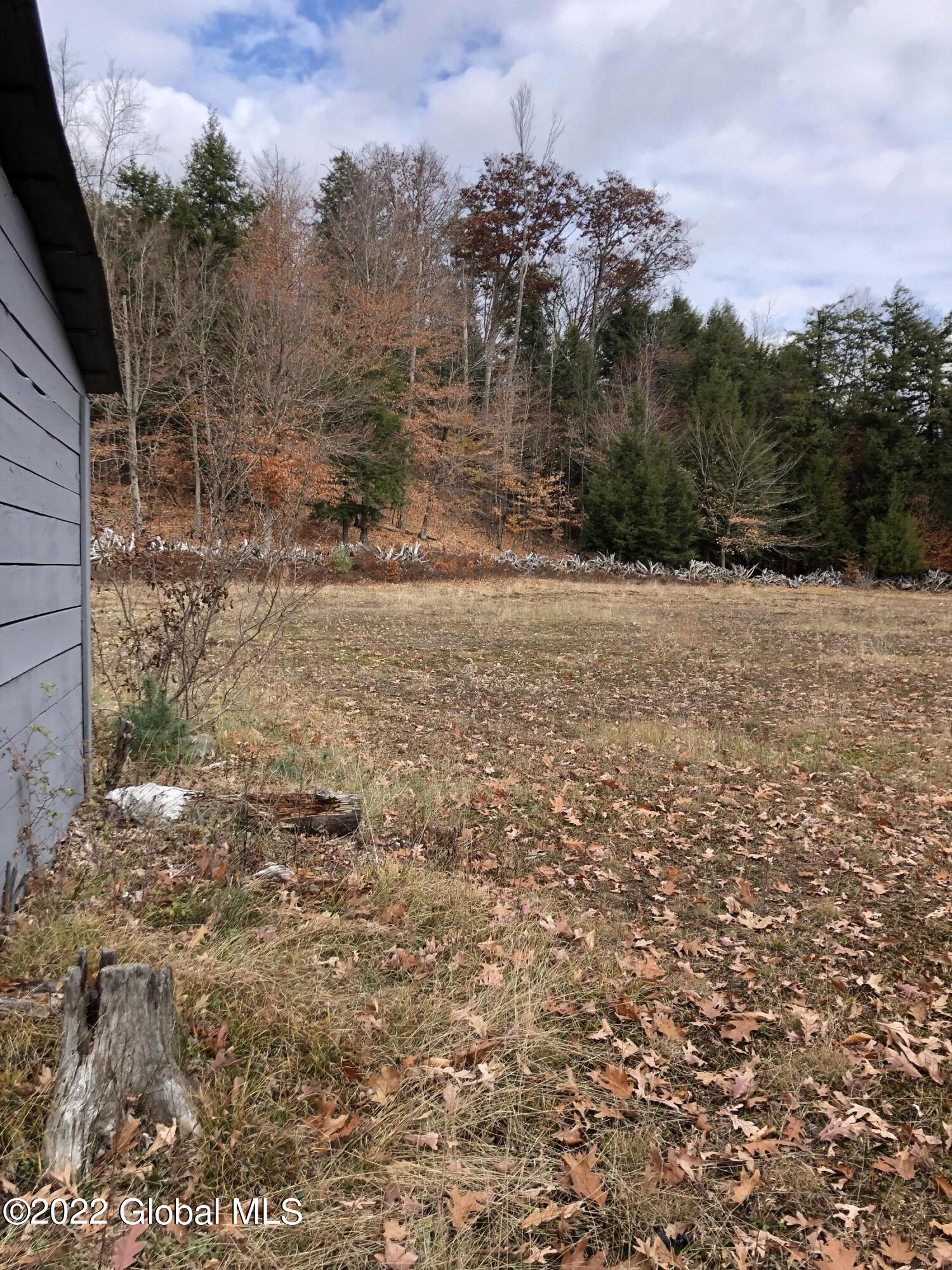 40 Cameron Road Thurman, NY 12810 - Photo 11 of 48 Front yard
